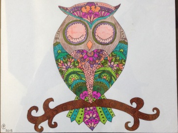 Owl  Art